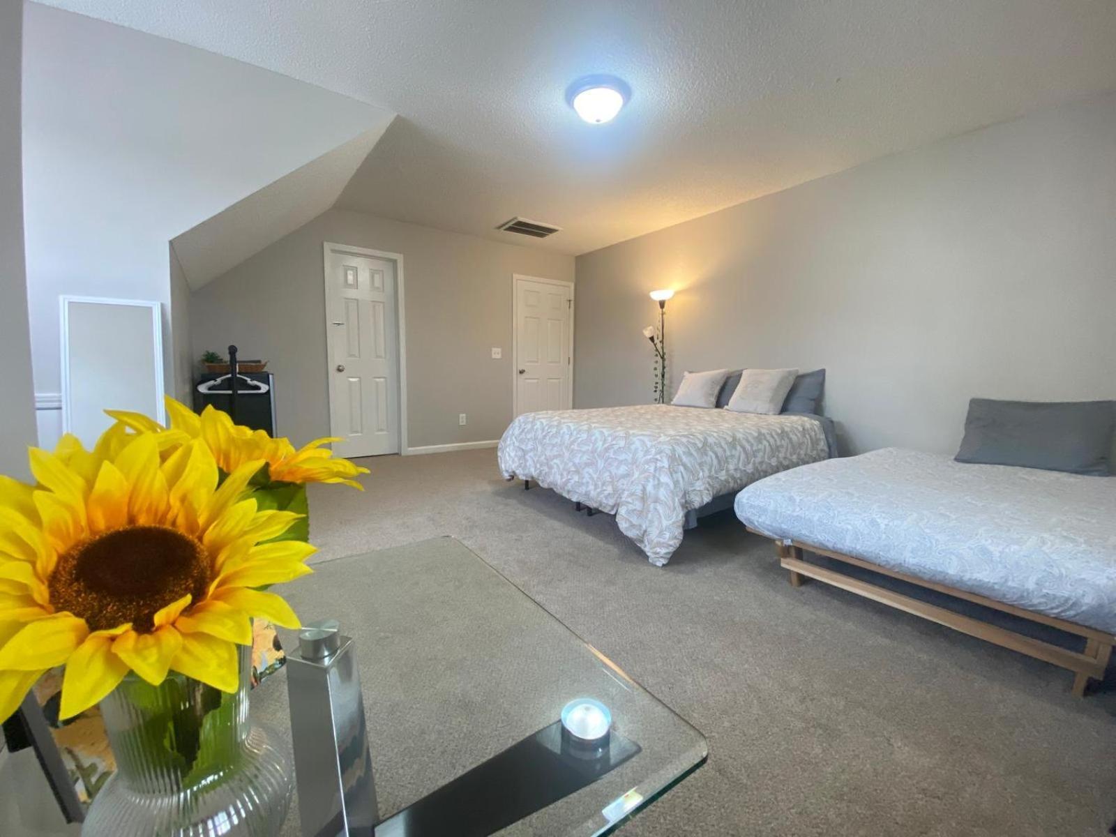 Private Room & Bathroom Close To Downtown Raleigh Extérieur photo